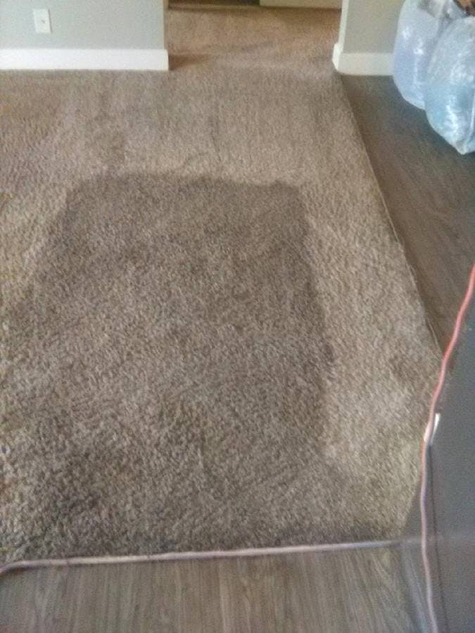 picture of a dirty beige carpet before carpet clean