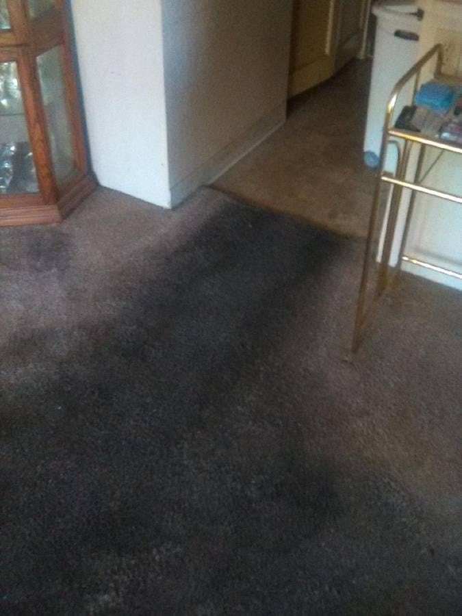 picture of a dirty beige livingroom carpet before carpet clean