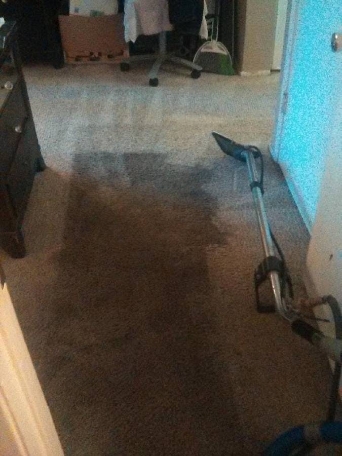 picture of a dirty beige livingroom carpet after carpet clean